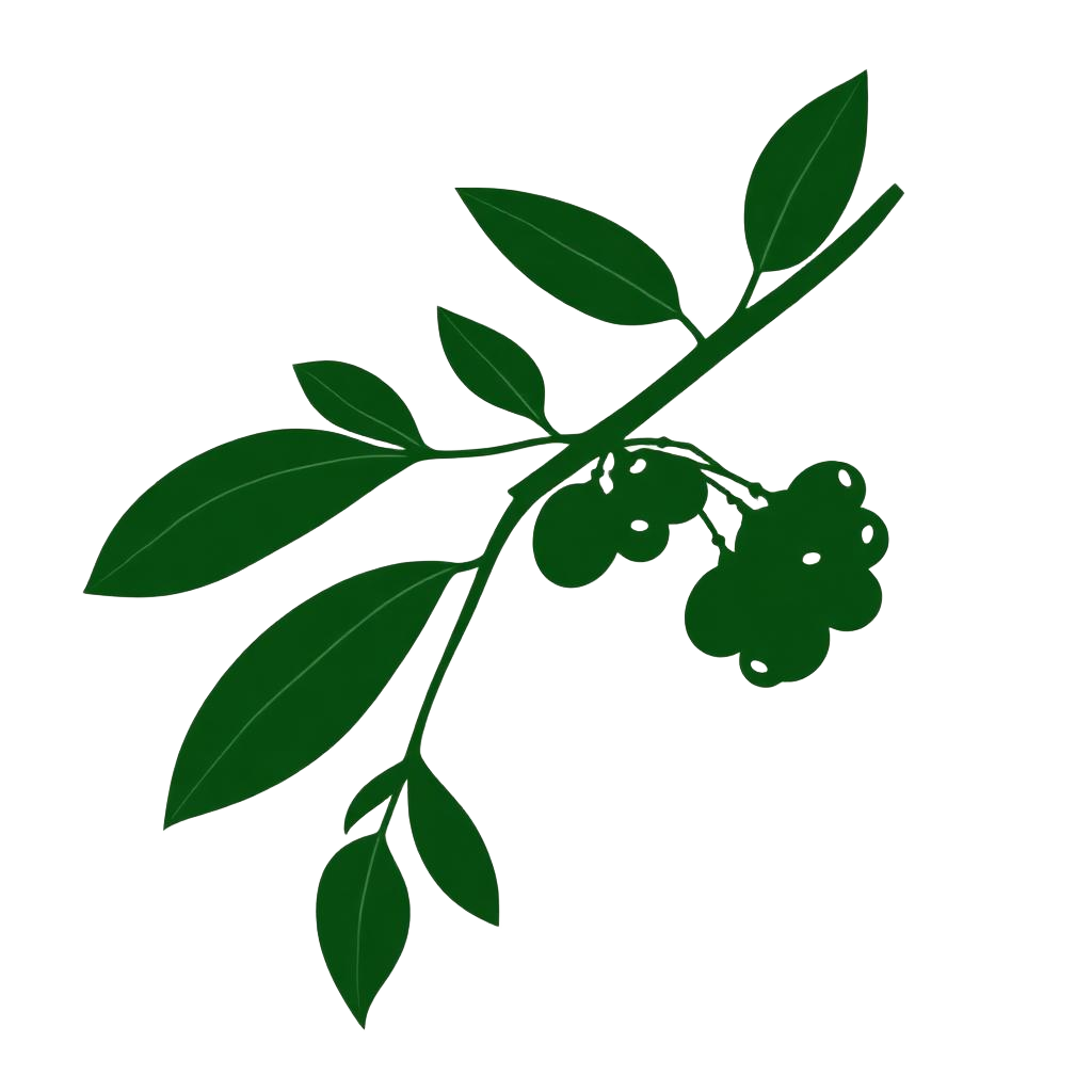 coffee branch ethnic v1