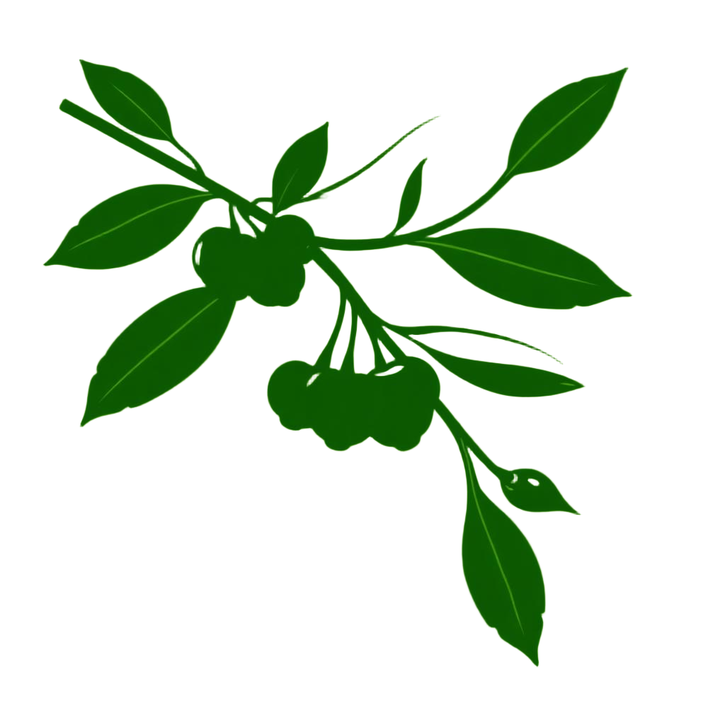 coffee branch ethnic v3