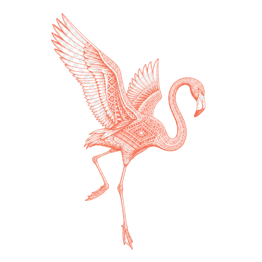 flamingo ethnic landing