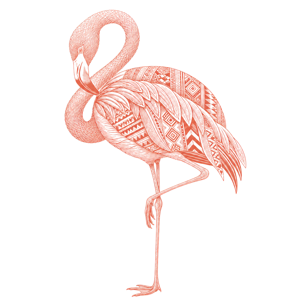 flamingo ethnic preening