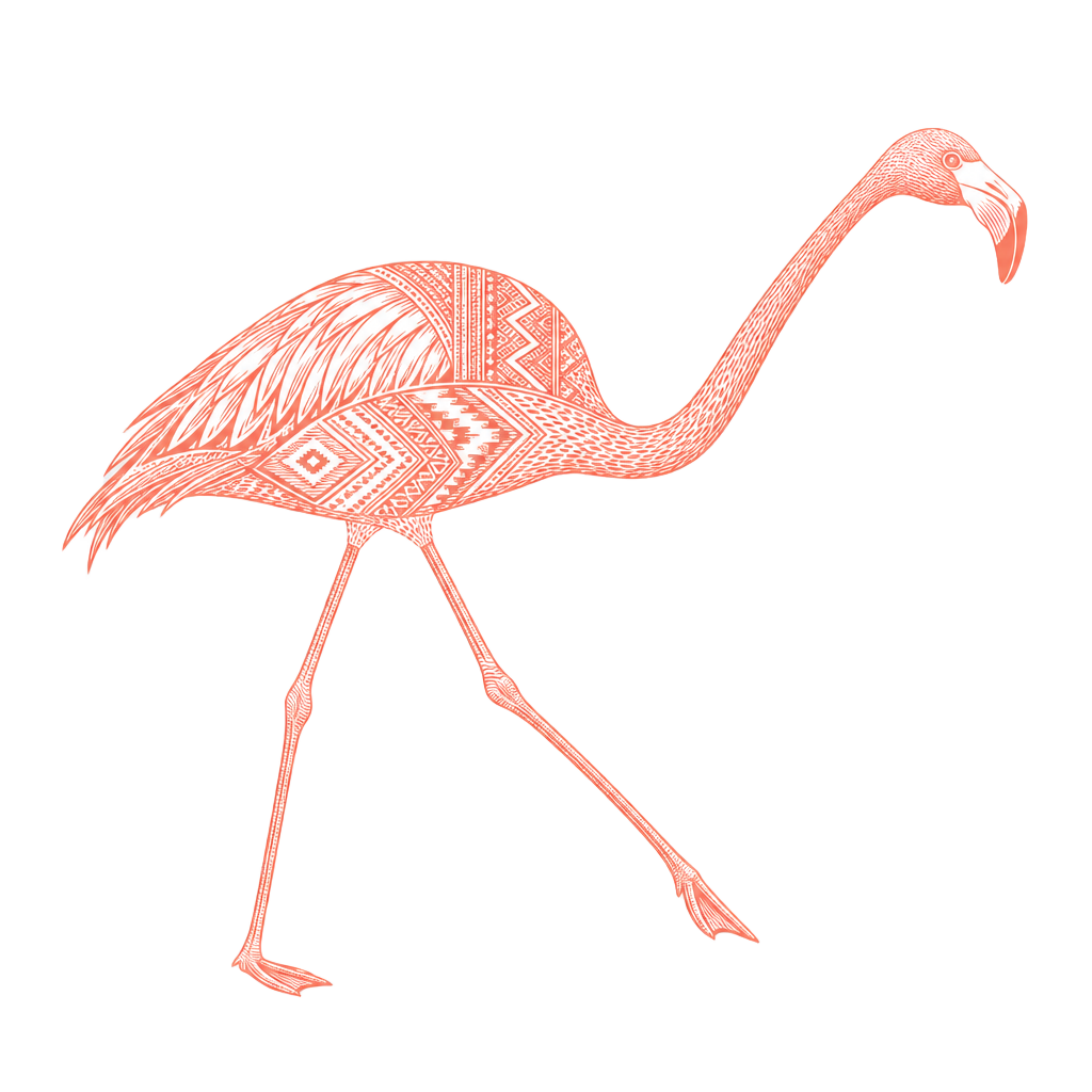 flamingo ethnic walking